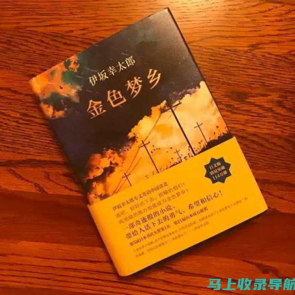 精选推荐：全球最火素材网站免费排行，创意设计师的宝藏库！